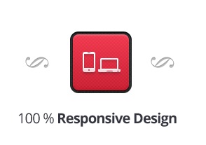 100% hỗ trợ responsive